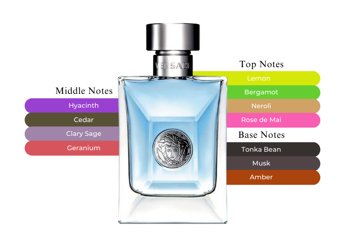 Versace Pour Homme The Perfect Summer Fragrance