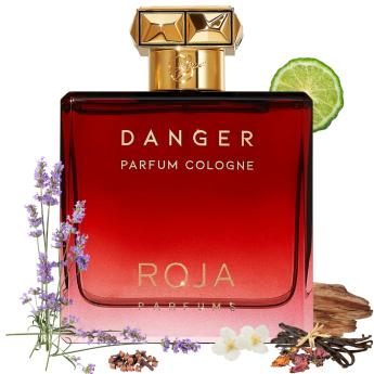 Roja Parfums Danger For Men 3 4oz 100 Ml Parfum Cologne Spray Maxaroma Com