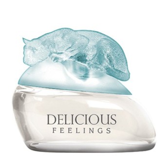 delicious feelings by gale hayman